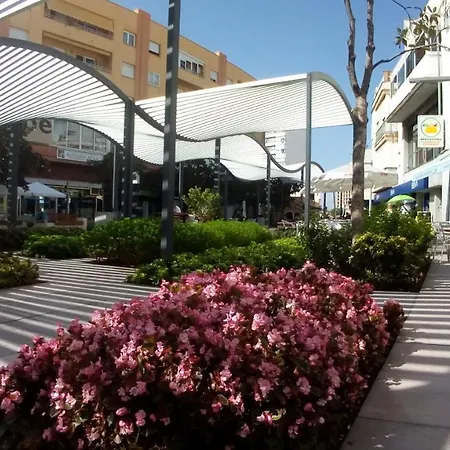 The Old Pearl *